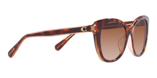 Coach CH567 HC 8365U women Brown Cat Eye Sunglasses