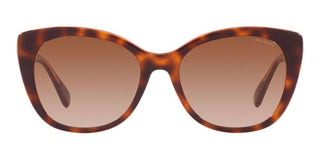 Coach CH567 HC 8365U women Brown Cat Eye Sunglasses
