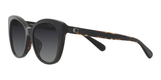 Coach CH567 HC 8365U women Black Cat Eye Sunglasses