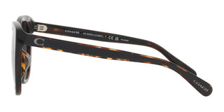 Coach CH567 HC 8365U women Black Cat Eye Sunglasses