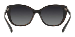 Coach CH567 HC 8365U women Black Cat Eye Sunglasses
