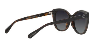 Coach CH567 HC 8365U women Black Cat Eye Sunglasses