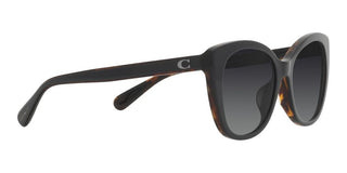 Coach CH567 HC 8365U women Black Cat Eye Sunglasses