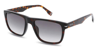 Police Champ 14 Splq83 Unisex Havana Squared Sunglasses