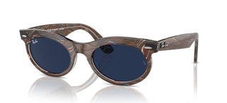 Ray-Ban CHANGE WAYFARER OVAL RB 2242 unisex Grey Oval Sunglasses