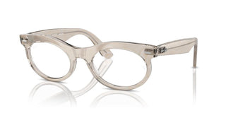 Ray-Ban CHANGE WAYFARER OVAL RB 2242 unisex Grey Oval Sunglasses