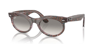Ray-Ban CHANGE WAYFARER OVAL RB 2242 unisex Pink Oval Sunglasses