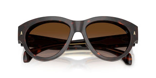Moncler Chicane Me6016u Unisex Havana Oval Sunglasses
