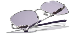 CHANEL CH 4283 women Silver Butterfly Sunglasses