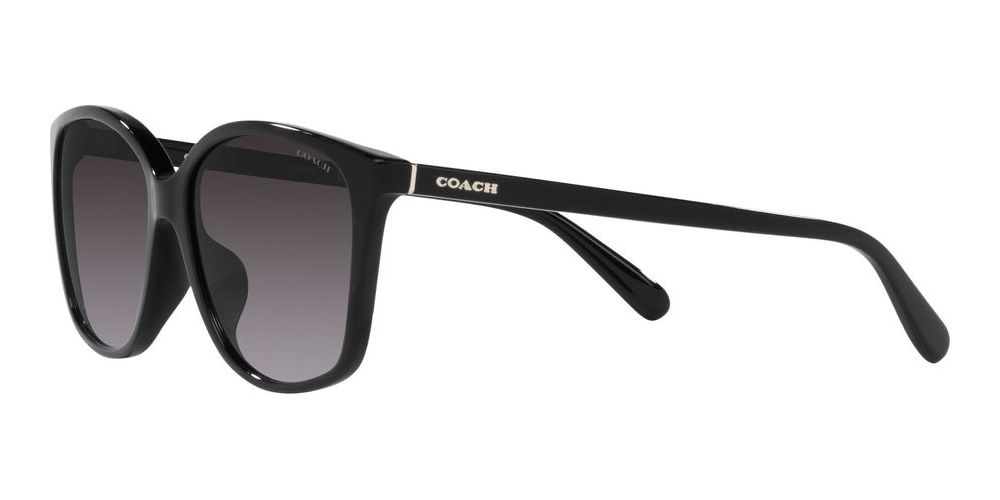 【送料,関税込】 COACHサングラス CH558  HC8361U HC8361U CH558 Asian Fit サングラス Transparent Faded Blue