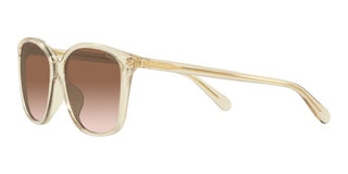 Coach CH 558 HC 8361U women Brown Squared Sunglasses