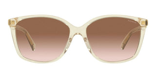 Coach CH 558 HC 8361U women Brown Squared Sunglasses