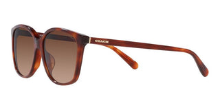 Coach CH 558 HC 8361U women Brown Squared Sunglasses