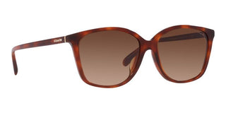 Coach CH 558 HC 8361U women Brown Squared Sunglasses