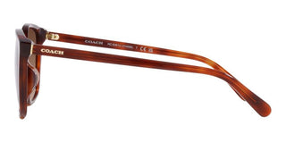 Coach CH 558 HC 8361U women Brown Squared Sunglasses