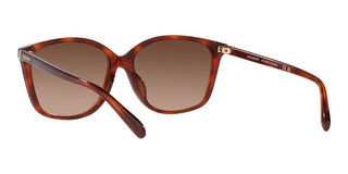 Coach CH 558 HC 8361U women Brown Squared Sunglasses