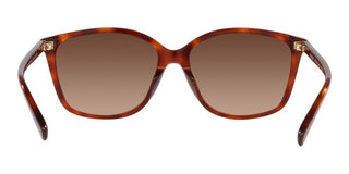 Coach CH 558 HC 8361U women Brown Squared Sunglasses