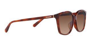 Coach CH 558 HC 8361U women Brown Squared Sunglasses