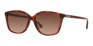 Coach CH 558 HC 8361U women Brown Squared Sunglasses