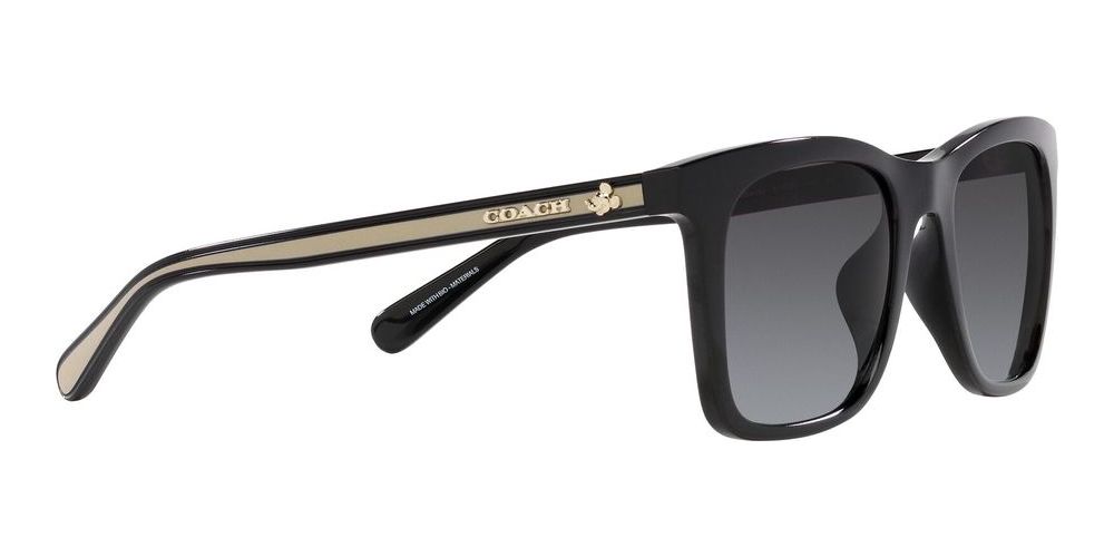 Coach CH 561 HC 8374U women Black Squared Sunglasses  display picture 3