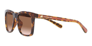 Coach CH 561 HC 8374U women Brown Squared Sunglasses