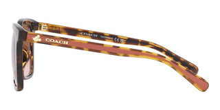 Coach CH 561 HC 8374U women Brown Squared Sunglasses