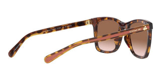 Coach CH 561 HC 8374U women Brown Squared Sunglasses
