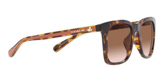 Coach CH 561 HC 8374U women Brown Squared Sunglasses