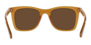 Coach CH 561 HC 8374U women Brown Squared Sunglasses