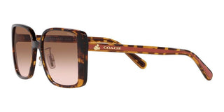 Coach CH 562 HC 8375 women Brown Squared Sunglasses