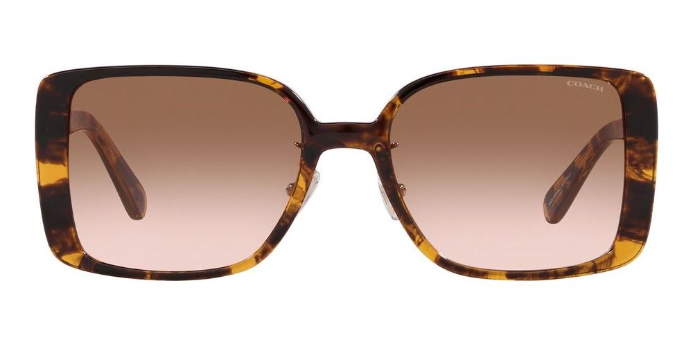 Coach CH 562 HC 8375 women Brown Squared Sunglasses  display picture 2