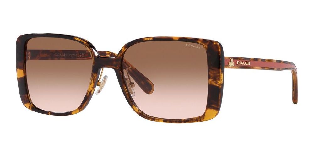 COACH サングラス ブラウン 中古・古着通販】COACH (コーチ) COACH サングラス ブラウン