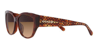 Coach CH 563 HC 8362U women Brown Geometric Sunglasses