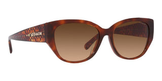 Coach CH 563 HC 8362U women Brown Geometric Sunglasses
