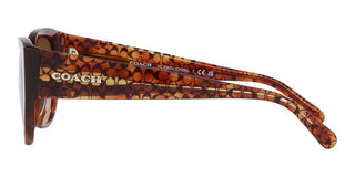 Coach CH 563 HC 8362U women Brown Geometric Sunglasses