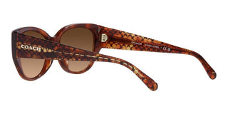 Coach CH 563 HC 8362U women Brown Geometric Sunglasses