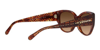 Coach CH 563 HC 8362U women Brown Geometric Sunglasses