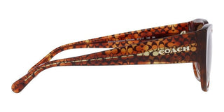 Coach CH 563 HC 8362U women Brown Geometric Sunglasses