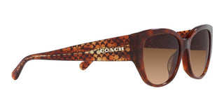 Coach CH 563 HC 8362U women Brown Geometric Sunglasses