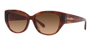 Coach CH 563 HC 8362U women Brown Geometric Sunglasses