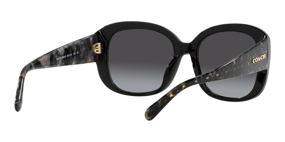 Coach Ch 564 Hc 8363u Women Black Geometric Sunglasses  display picture 1