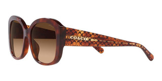 Coach CH 564 HC 8363U women Brown Visor Sunglasses