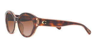 Coach CH 569 HC 8364U women Brown Geometric Sunglasses