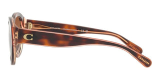 Coach CH 569 HC 8364U women Brown Geometric Sunglasses