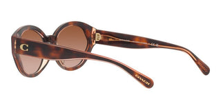 Coach CH 569 HC 8364U women Brown Geometric Sunglasses