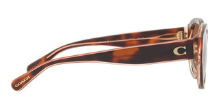 Coach CH 569 HC 8364U women Brown Geometric Sunglasses
