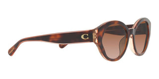 Coach CH 569 HC 8364U women Brown Geometric Sunglasses