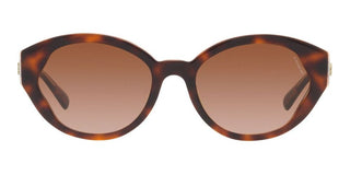 Coach CH 569 HC 8364U women Brown Geometric Sunglasses