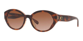 Coach CH 569 HC 8364U women Brown Geometric Sunglasses