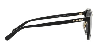 Coach CH 577 HC8366 men Black Geometric Sunglasses